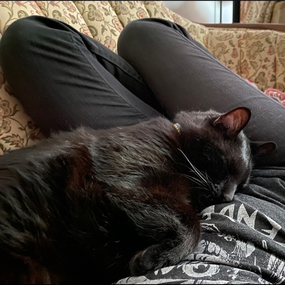 ๐shipping from a pet-loving home! - Picture 2 of 2